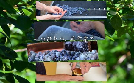 チルチルのジャム 450g×2個セット（ブルーベリー・赤いルバーブ） | ジャム