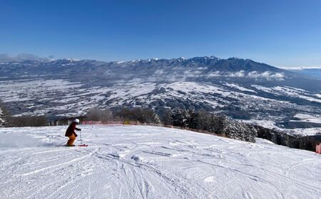 【先行予約】スキー場 リフトとゴンドラ利用券 1日券 | リフト券 ゲレンデ スキー チケット 信州 長野県 富士見町 着日指定不可 富士見パノラマリゾート 【11月下旬より順次発送】