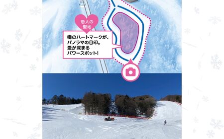 【先行予約】スキー場 リフトとゴンドラ利用券 1日券 | リフト券 ゲレンデ スキー チケット 信州 長野県 富士見町 着日指定不可 富士見パノラマリゾート 【11月下旬より順次発送】