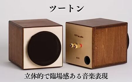世界最小の本格オーディオ 真空管オーディオセット 〈 ツートン
