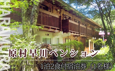 早川ペンション　ご宿泊券【1泊2食1名様】 旅行