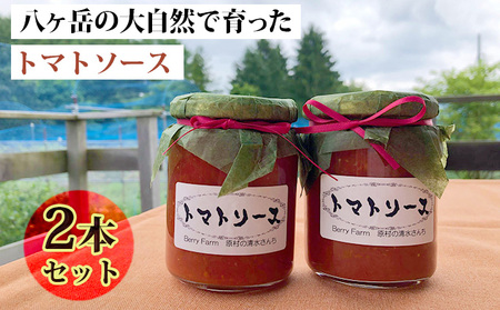 八ヶ岳の大自然で育ったトマトソース2本セット 野菜加工品 