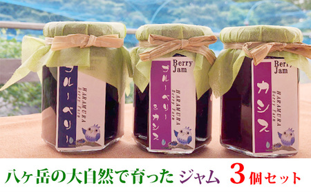 八ヶ岳の大自然で育ったジャム3個セット（ブルーベリー・カシス＆ブルーベリーMIX・カシス） 