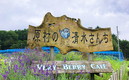 八ヶ岳の大自然で育ったジャム3個セット（ブルーベリー・カシス＆ブルーベリーMIX・カシス） 