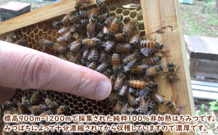 八ケ岳そば蜜 600g 蜂蜜 はちみつ 