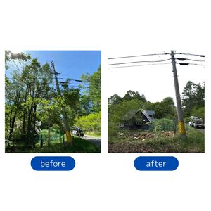 【原村限定】庭木の伐採・剪定15,000円チケット 別荘 自宅 空き家 庭木 お手入れ 庭 ガーデニング 剪定 伐採 サービス プレゼント