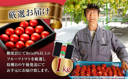 トマト フルーツトマト ルージュフルーツトマト 1kg 糖度8度以上 産地直送 厳選 樹上甘熟 長野県産 野菜 甘い コク 酸味 爽やか ビタミン ミネラル 栄養 リコピン 抗酸化力 美容 健康