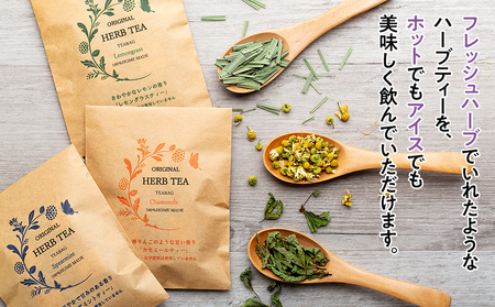 オリジナル ドライハーブ セット 詰め合わせ ハーブセット ハーブソルト ハーブミックス カモミールティー スペアミントティー レモングラスティー ハーブ ハーブティー お茶 調味料 ハーブミックス 長野 長野県 箕輪町