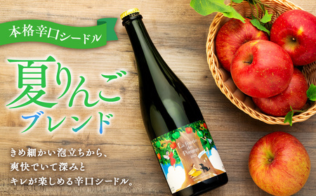シードル 2021年産夏 2021年産冬 2022年産夏 3本 詰め合わせ セット フルボトル 飲み比べ アップルシードル 辛口 りんご 夏リンゴ フルーツ 果物 お酒 酒 果実酒 アルコール 家飲み ギフト プレゼント 贈答 贈り物 お祝い 長野 長野県 箕輪町