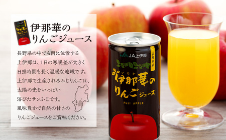 伊那華のりんごジュース 190g 30本 サンふじ 100％ジュース りんごジュース ストレート 信州りんごジュース ジュース 信州りんご りんご 林檎 フルーツジュース 飲み物 ドリンク 長野 長野県 箕輪町
