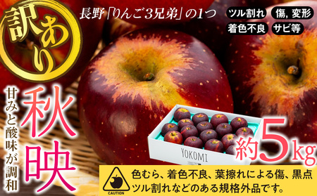 【2025年/令和7年度発送分 】訳あり 信州のりんご 秋映 約 5kg りんご リンゴ 林檎 長野 フルーツ 果物 信州産 長野県産 特産 産地直送 おすすめ