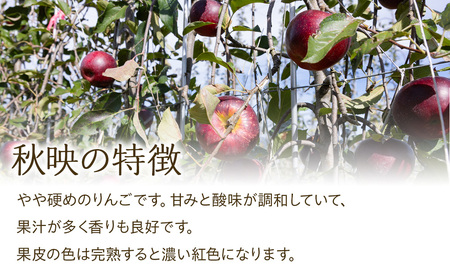 【2025年/令和7年度発送分 】訳あり 信州のりんご 秋映 約 5kg りんご リンゴ 林檎 長野 フルーツ 果物 信州産 長野県産 特産 産地直送 おすすめ