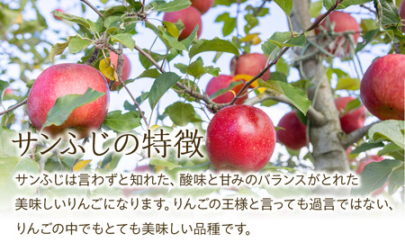 【2025年/令和7年度発送分 】信州のりんご サンふじ 約 3kg りんご リンゴ 林檎 長野 フルーツ 果物 信州産 長野県産 特産 産地直送 おすすめ