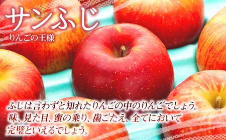 【2025年/令和7年度発送分 】信州のりんご サンふじ 約 3kg りんご リンゴ 林檎 長野 フルーツ 果物 信州産 長野県産 特産 産地直送 おすすめ