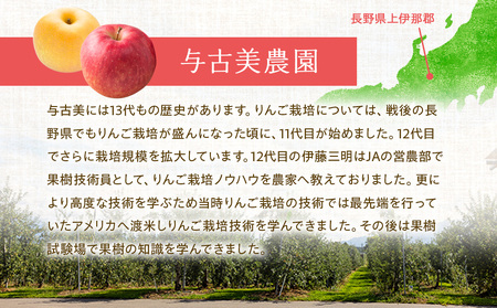 【2025年/令和7年度発送分 】信州のりんご サンふじ 約 3kg りんご リンゴ 林檎 長野 フルーツ 果物 信州産 長野県産 特産 産地直送 おすすめ