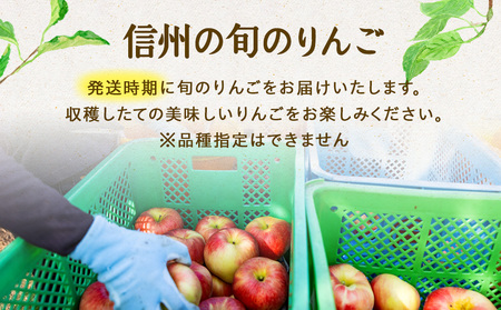 【2025年/令和7年度発送分 】信州の旬のりんごおまかせ約3kgセット りんご リンゴ 林檎 長野 フルーツ 果物 信州産 長野県産 特産 産地直送 おすすめ