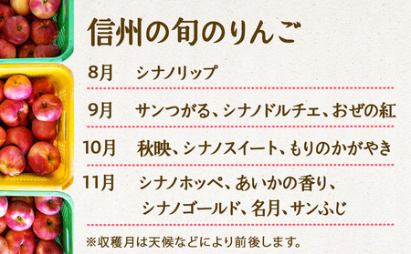 【2025年/令和7年度発送分 】信州の旬のりんごおまかせ約3kgセット りんご リンゴ 林檎 長野 フルーツ 果物 信州産 長野県産 特産 産地直送 おすすめ