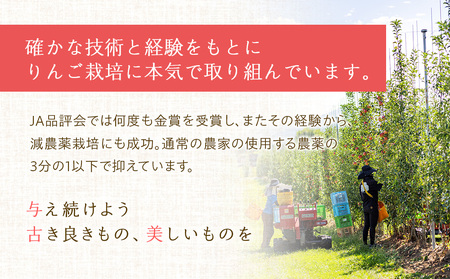 【2025年/令和7年度発送分 】信州の旬のりんごおまかせ約3kgセット りんご リンゴ 林檎 長野 フルーツ 果物 信州産 長野県産 特産 産地直送 おすすめ