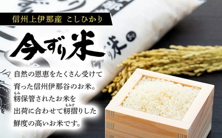 米 コシヒカリ 10kg 長野 上伊那産 お米 長野県産 こしひかり 10キロ 白米 精米 信州産 特産 産地直送 おすすめ こめ コメ おこめ 送料無料 長野県 箕輪町