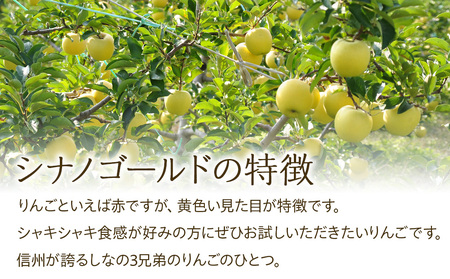 renpeco シナノゴールド　15kg おすすめ🍏 シナノゴールド🍏：青森県産のシナノゴールド｜食べ