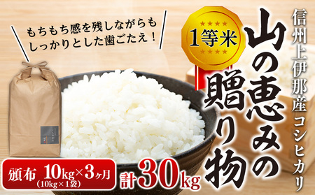 【令和7年産】３ヶ月連続お届け 定期便 信州産 コシヒカリ 1等米 「山の恵みの贈り物」 10kg(10kg×1袋)　計30kg （ お米 コシヒカリ 白米 搗きたて米 低温貯蔵米 食品 ) 長野県　箕輪町