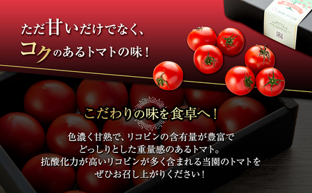 長野県産 ルージュフルーツトマト2kg 先行予約