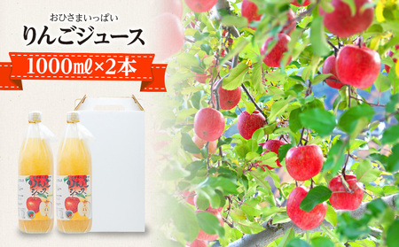 おひさまいっぱいりんごジュース 1000ml×2本 リンゴジュース りんご リンゴ 林檎 サンふじ 長野 フルーツ 果物 信州産 長野県産 特産 産地直送 おすすめ