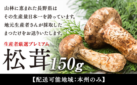 数量限定 松茸 生産者厳選 プレミアムまつたけ 150g 2本程度 箕輪町産 秋の味覚 まつたけ マツタケ きのこ キノコ 旬の野菜 プレミアム  限定品 限定販売 信州 長野 長野県 | 長野県箕輪町 | ふるさと納税サイト「ふるなび」