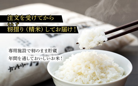 米 コシヒカリ 5kg 長野 上伊那産 お米 長野県産 こしひかり 5キロ 白米 精米 信州産 特産 産地直送 おすすめ こめ コメ おこめ 送料無料 長野県 箕輪町