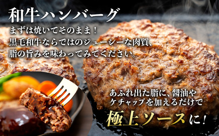天龍牛味わいセットA ハンバーグ フランク ソーセージ 天龍牛 黒毛和牛 長野県産 信州産 お肉 国産 希少 お酒のつまみ 
