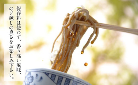 そば 生そば 2パック 100g 3袋 JA上伊那 伊那華の生そば めんつゆ付 蕎麦 半生そば 信州上伊那産そば粉 信濃一号 信濃夏そば 保存料不使用 香り高い風味 のど越しの良さ こだわりのつゆ 風味豊か 信州そば 和食 日本食 麺 麺類 食品 