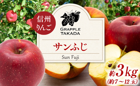 信州りんご サンふじ3kg ※オンライン決済限定 りんご リンゴ