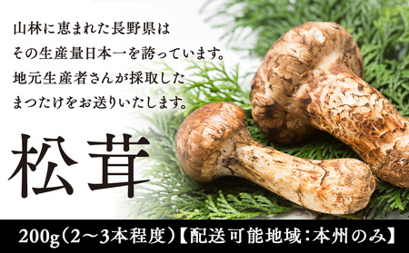 松茸 200g 2～3本程度 箕輪町産 秋の味覚 まつたけ マツタケ きのこ キノコ 旬の野菜 信州 長野 長野県 | 長野県箕輪町 |  ふるさと納税サイト「ふるなび」