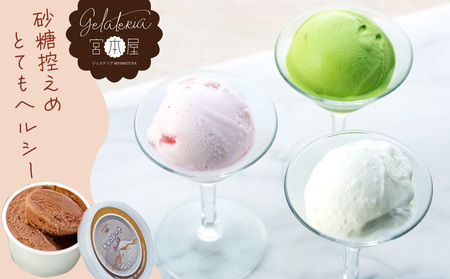 ジェラート 12個 セット 詰め合わせ ジェラテリア宮本屋厳選 アイス シャーベット ジェラテリア宮本屋 砂糖控えめ ヘルシー 信州牛乳 りんご いちご 黒ごま チョコレート ラムレーズン 抹茶 宇治 マンゴーミルク アルフォンソマンゴー