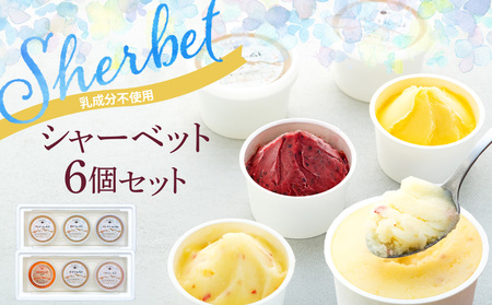 乳成分不使用 シャーベット 6個 セット 詰め合わせ フルーツシャーベット いちご りんご ブルーベリー キウイ マンゴー ぶどう アイス デザート スイーツ お菓子 菓子 おやつ 信州 長野 長野県 