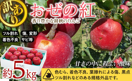 りんご 訳あり  おぜの紅 約5kg  2025年 令和7年度発送分 リンゴ 林檎 長野 フルーツ 果物 果物類 信州産 長野県産 特産 産地直送 おすすめ 旬の果物 旬のフルーツ 初秋のりんご 食後 デザート 食べ物 食品