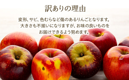 りんご 訳あり  おぜの紅 約5kg  2025年 令和7年度発送分 リンゴ 林檎 長野 フルーツ 果物 果物類 信州産 長野県産 特産 産地直送 おすすめ 旬の果物 旬のフルーツ 初秋のりんご 食後 デザート 食べ物 食品