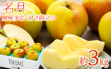 りんご 名月 3kg 2025年 令和7年発送 酸味が少なく甘さが際立つ りんご 名月 3kg 2025年 令和7年発送 酸味が少なく甘さが際立つ