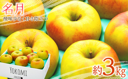 りんご 名月 3kg 2025年 令和7年発送 酸味が少なく甘さが際立つ りんご 名月 3kg 2025年 令和7年発送 酸味が少なく甘さが際立つ