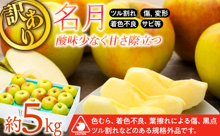 訳あり りんご 5kg  2025年 令和7年度 発送分！ 名月 酸味が少なく甘さが際立つおいしいりんご 林檎 リンゴ 傷 キズ 果物 くだもの フルーツ 旬の果物 旬のフルーツ 家庭用 訳アリ 信州 長野 長野県