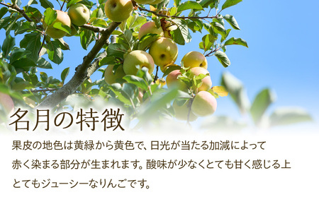 訳あり りんご 5kg  2025年 令和7年度 発送分！ 名月 酸味が少なく甘さが際立つおいしいりんご 林檎 リンゴ 傷 キズ 果物 くだもの フルーツ 旬の果物 旬のフルーツ 家庭用 訳アリ 信州 長野 長野県