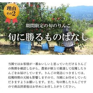 【南信州あじさい農園】葉とらずりんご(サンふじ)約3kg【1594213】