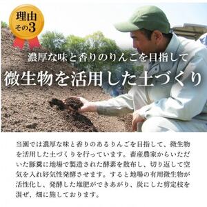 【南信州あじさい農園】葉とらずりんご(サンふじ)約3kg【1594213】