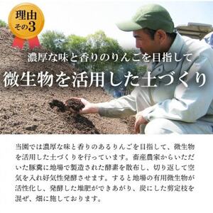 【南信州あじさい農園】葉とらずりんご(サンふじ)約10kg【1594215】