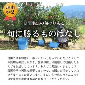【南信州あじさい農園】葉とらずりんご(サンふじ)約5kg家庭用【1594216】