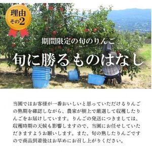 【南信州あじさい農園】葉とらずりんご(サンふじ)約10kg家庭用【1594217】