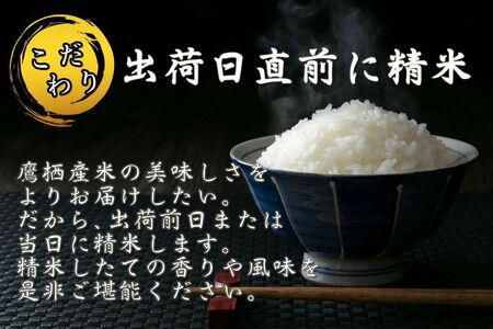 A216 　【新米予約】【 令和6年産 】 ゆめぴりか （ 無洗米 ） 特Aランク 北海道 米 を代表する人気の品種 2㎏ 食べきりサイズ 北海道 鷹栖町 たかすのお米 米 コメ こめ ご飯無洗米 お米 ゆめぴりか コメ  無洗米無洗米無洗米無洗米 無洗米無洗米無洗米無洗米無洗米無洗米無洗米無洗米無洗米無洗米無洗米無洗米無洗米無洗米無洗米無洗米無洗米無洗米無洗米無洗米無洗米無洗米無洗米無洗米無洗米