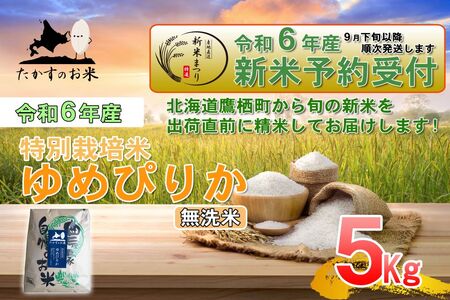 A218 　【新米予約】【 令和6年産 】 ゆめぴりか （ 無洗米 ） 特Aランク 北海道 米 を代表する人気の品種 5㎏ 北海道 鷹栖町 たかすのお米 米 コメ こめ ご飯 無洗米 お米 ゆめぴりか コメ  無洗米無洗米無洗米無洗米 無洗米無洗米無洗米無洗米無洗米無洗米無洗米無洗米無洗米無洗米無洗米無洗米無洗米無洗米無洗米無洗米無洗米無洗米無洗米無洗米無洗米無洗米無洗米無洗米無洗米無洗米無洗米