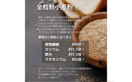 鷹栖牛 生餃子セット たかすぎゅうっと生餃子 10個入り×2パック 合計20個 北海道 鷹栖町 新田ファーム 牛肉 冷凍餃子 生餃子 牛肉 冷凍