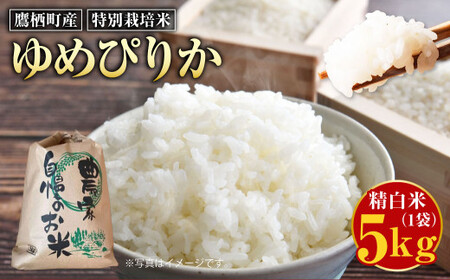 【令和7年産】 ゆめぴりか （精白米） 5kg 北海道 鷹栖町 たかすのおむすび 米 コメ ご飯 精白米 お米